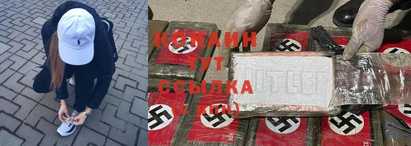 мяу мяу мука Надым