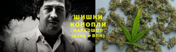 сатива Алексин